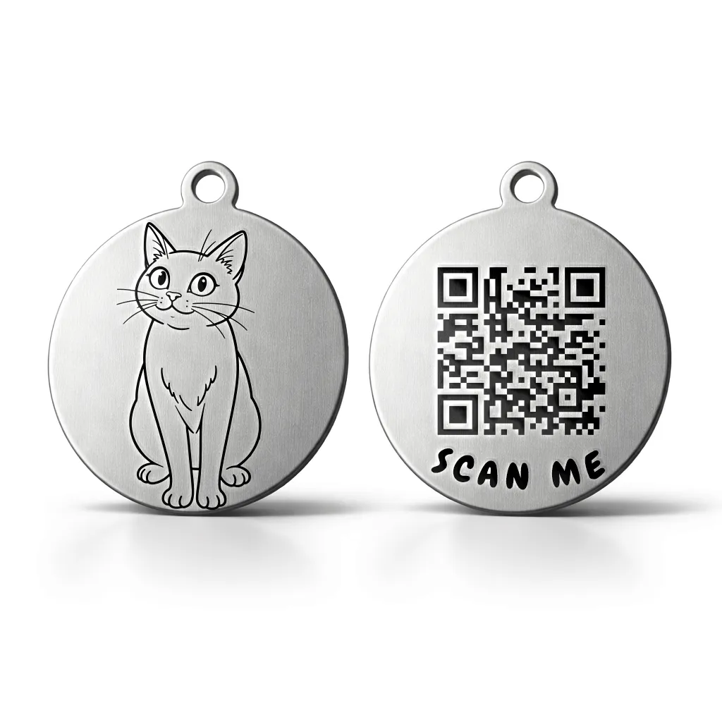 The Curious Kitty (Cat) 2