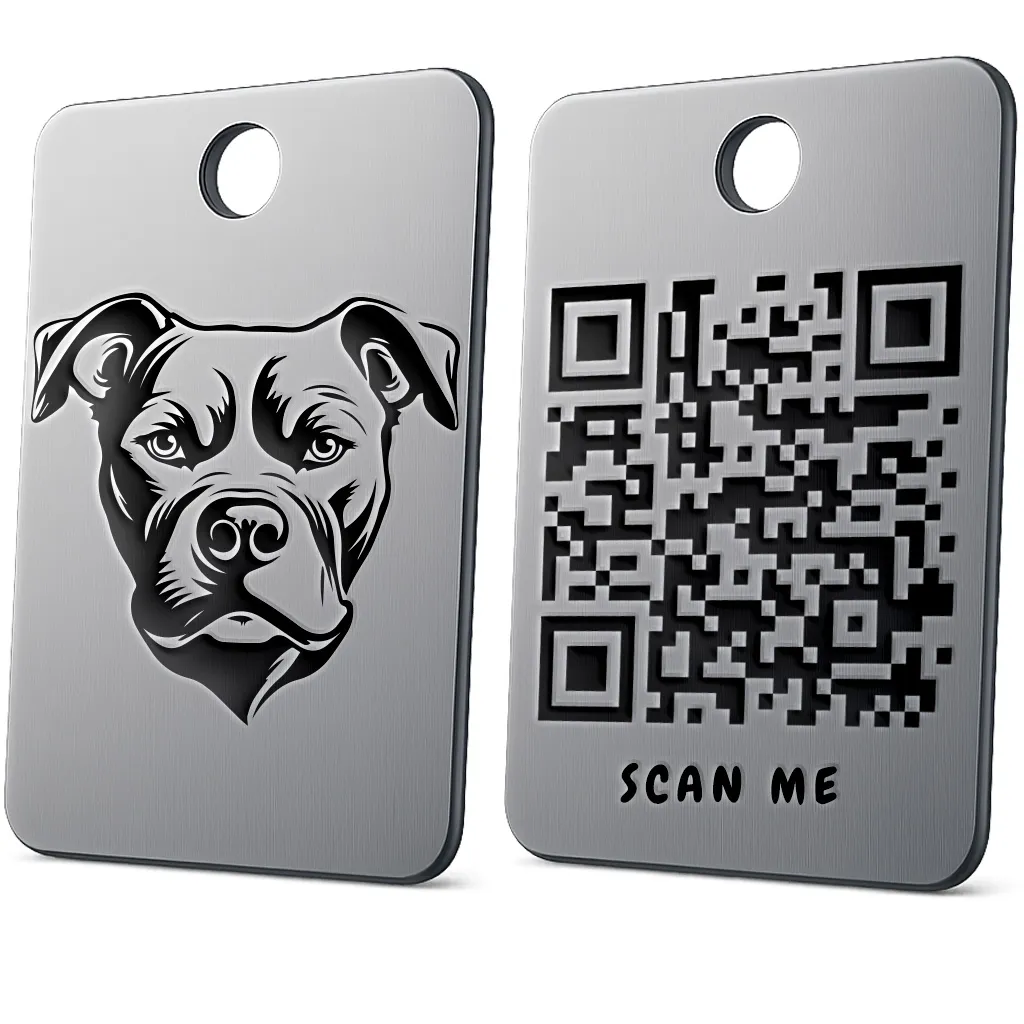 American Pit Bull Terrier 2