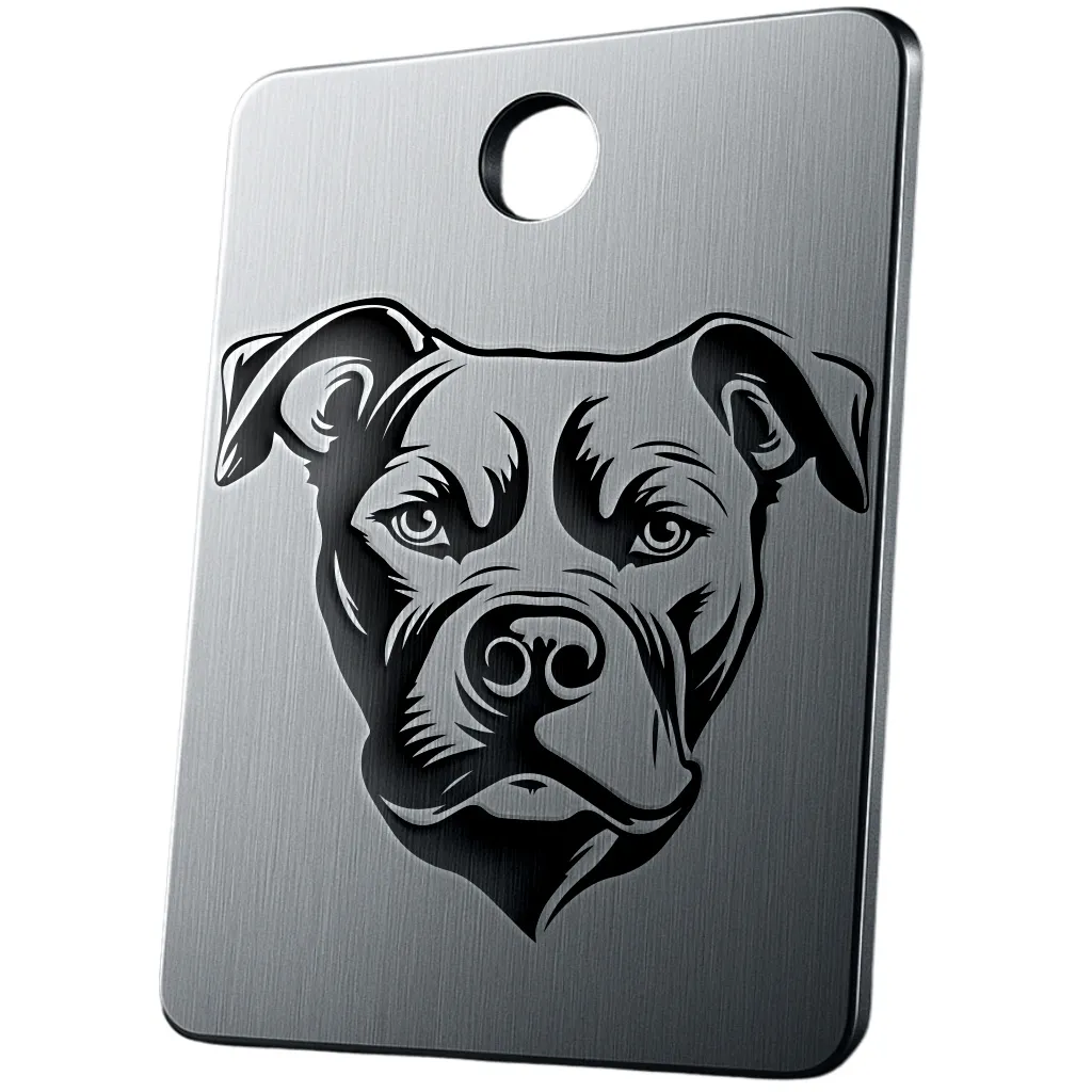 American Pit Bull Terrier