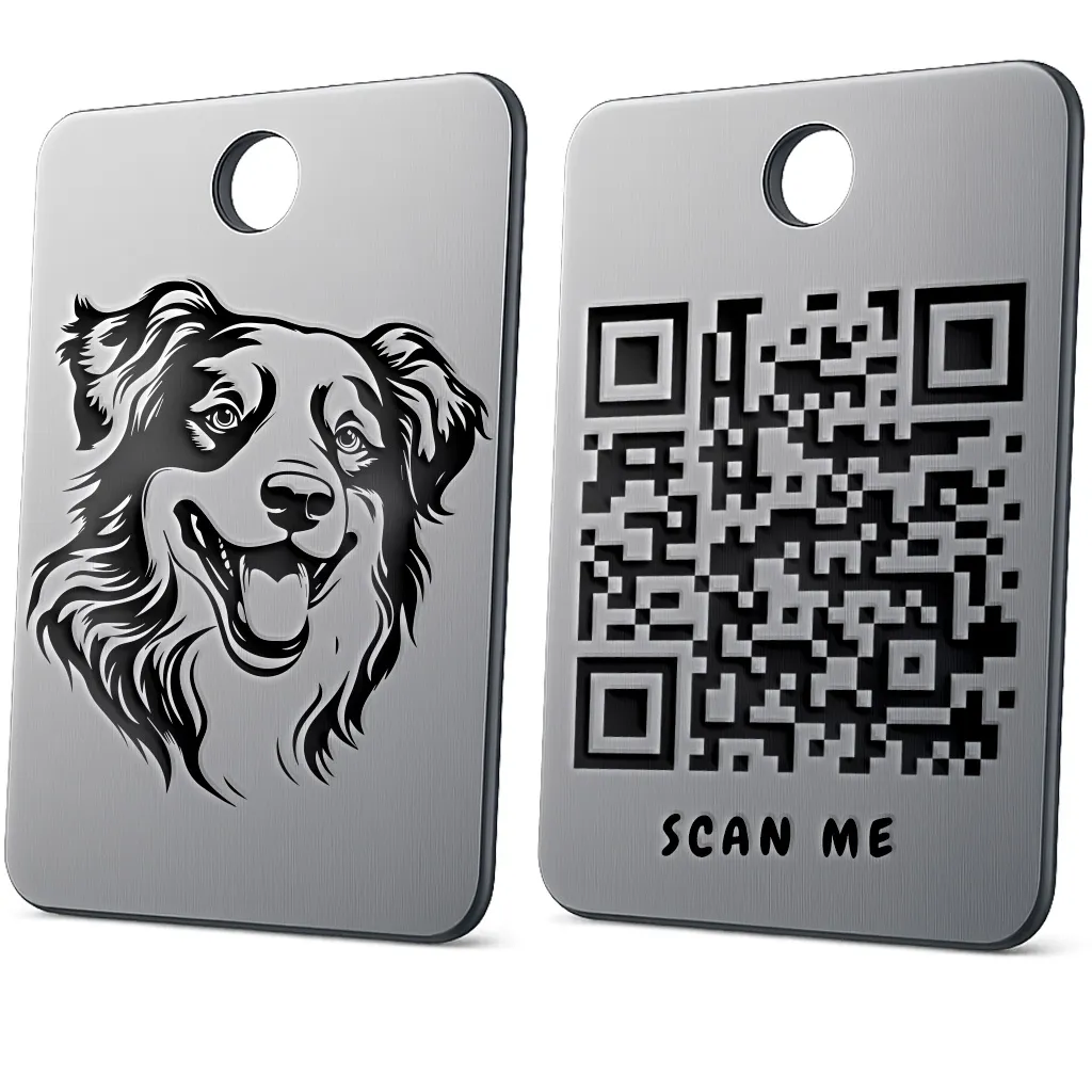 Australian Shepherd 2