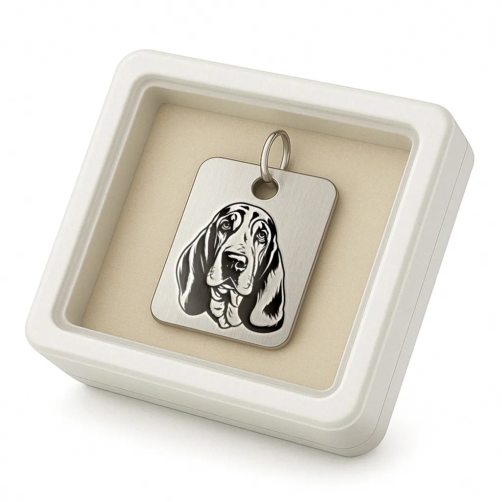 Basset Hound 3