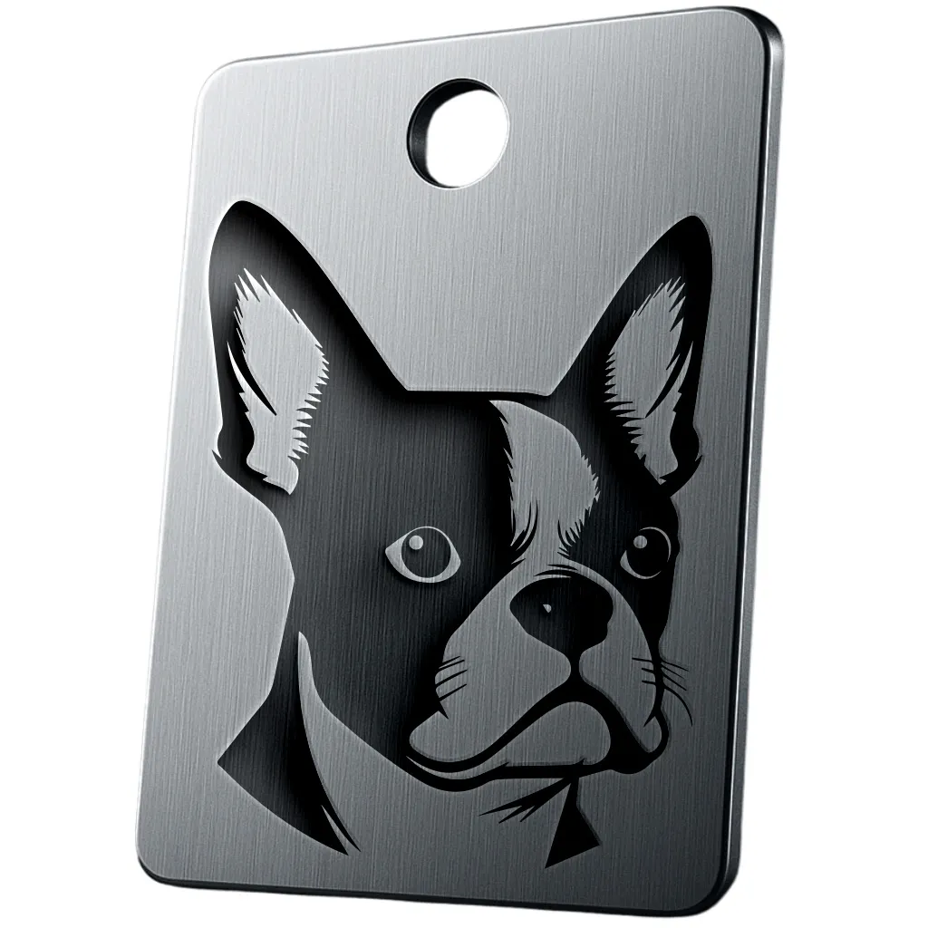 Boston Terrier