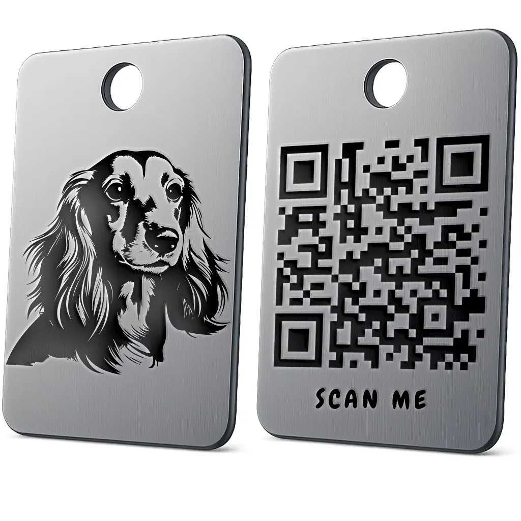 Dachshund (Long-Hair) 2