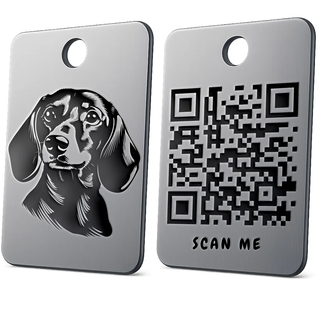 Dachshund (Short-Hair) 2