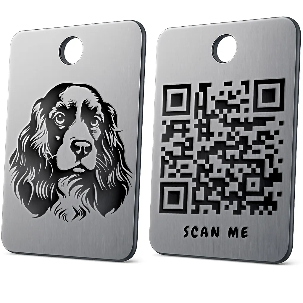 English Cocker Spaniel 2