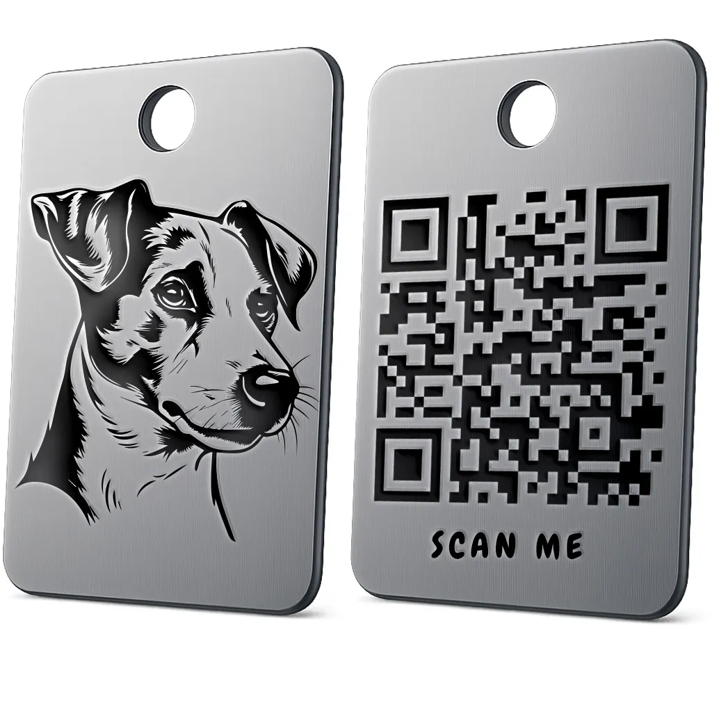 Jack Russell Terrier 2