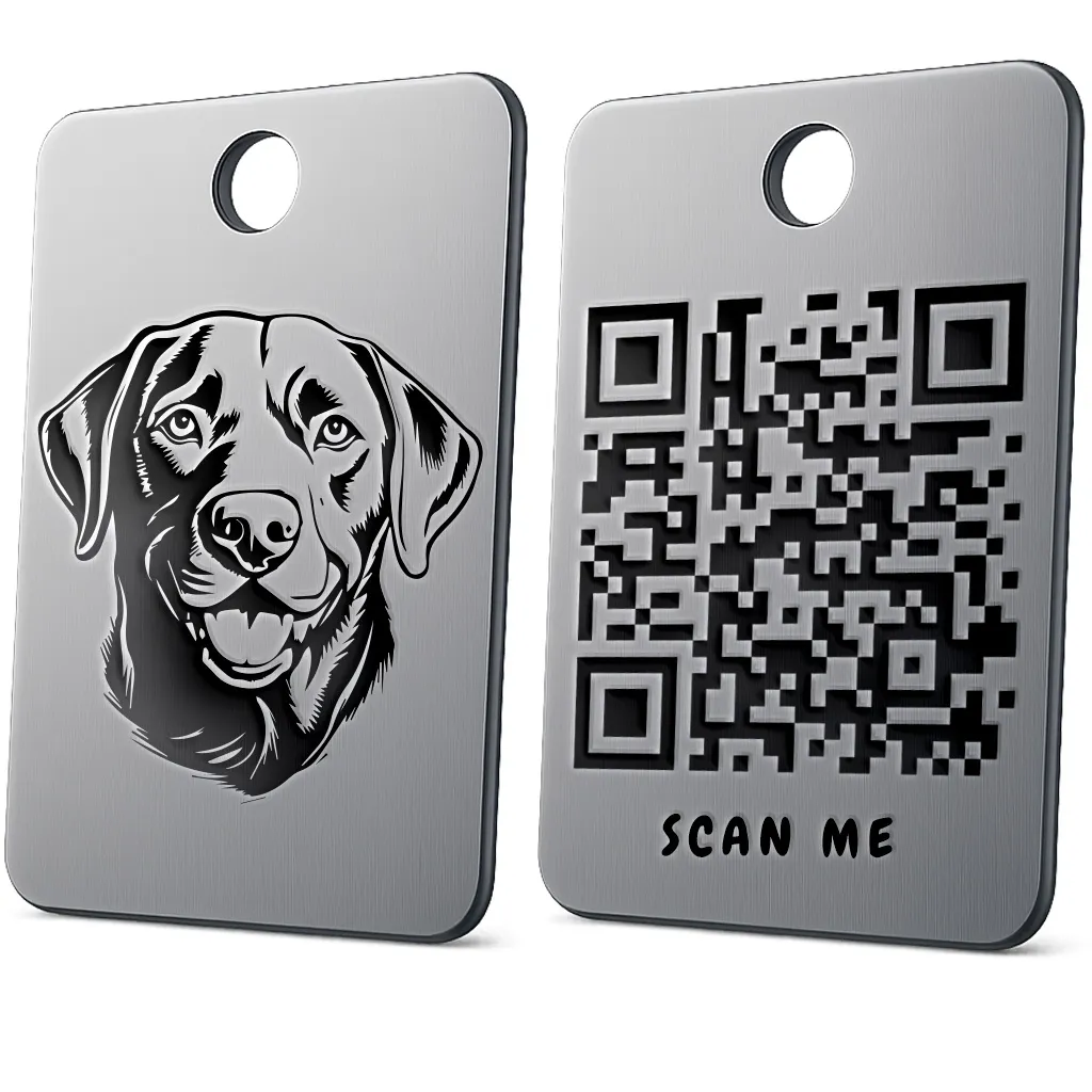 Labrador Retriever 2