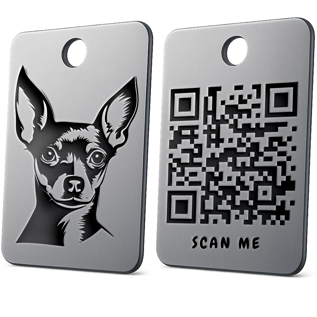 Miniature Doberman Pinscher 2