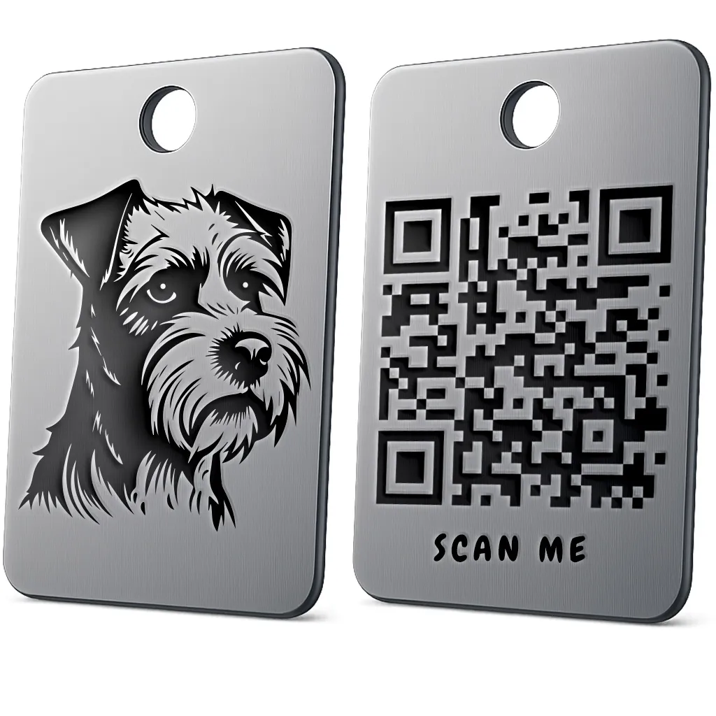 Miniature Schnauzer 2