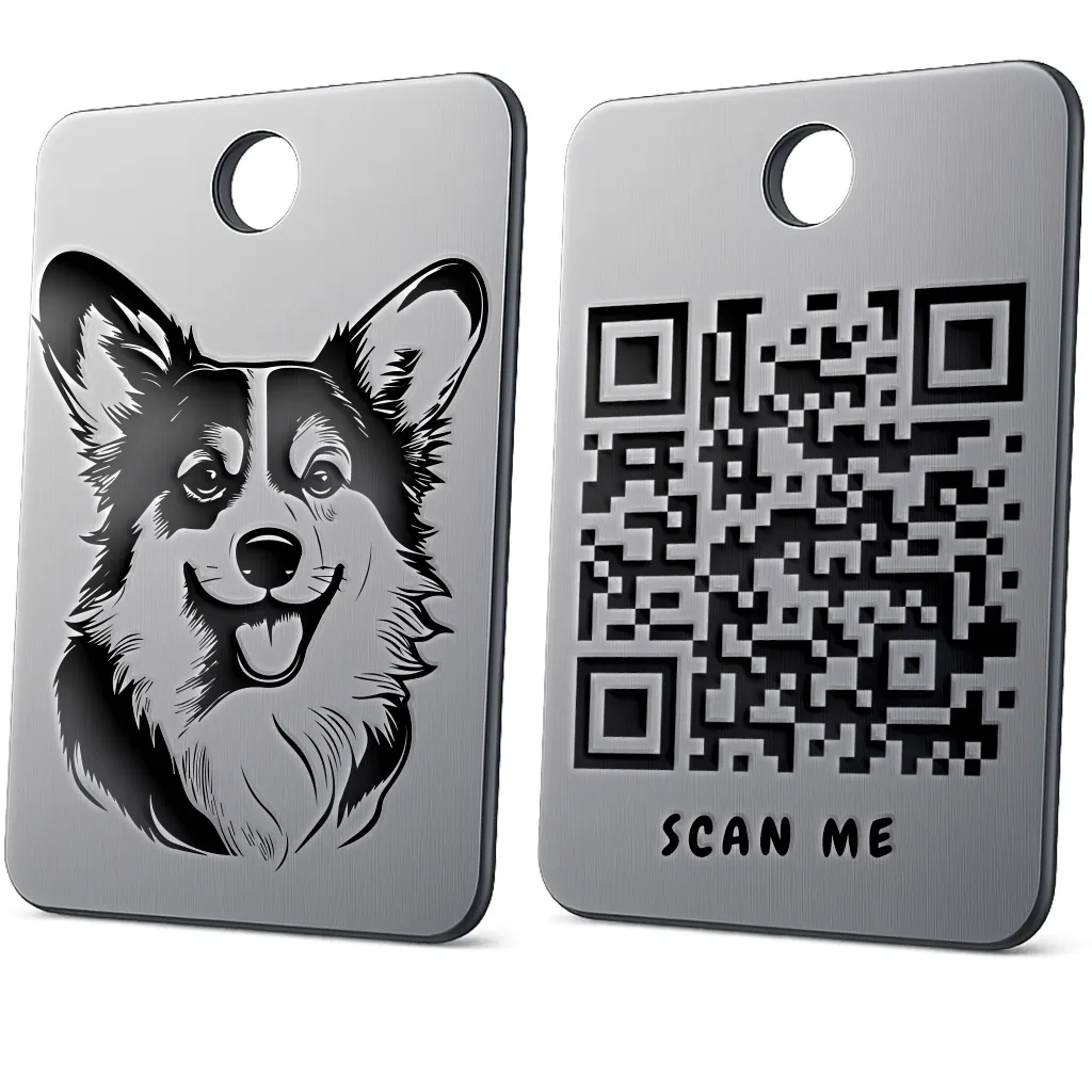 Pembroke Welsh Corgi 2