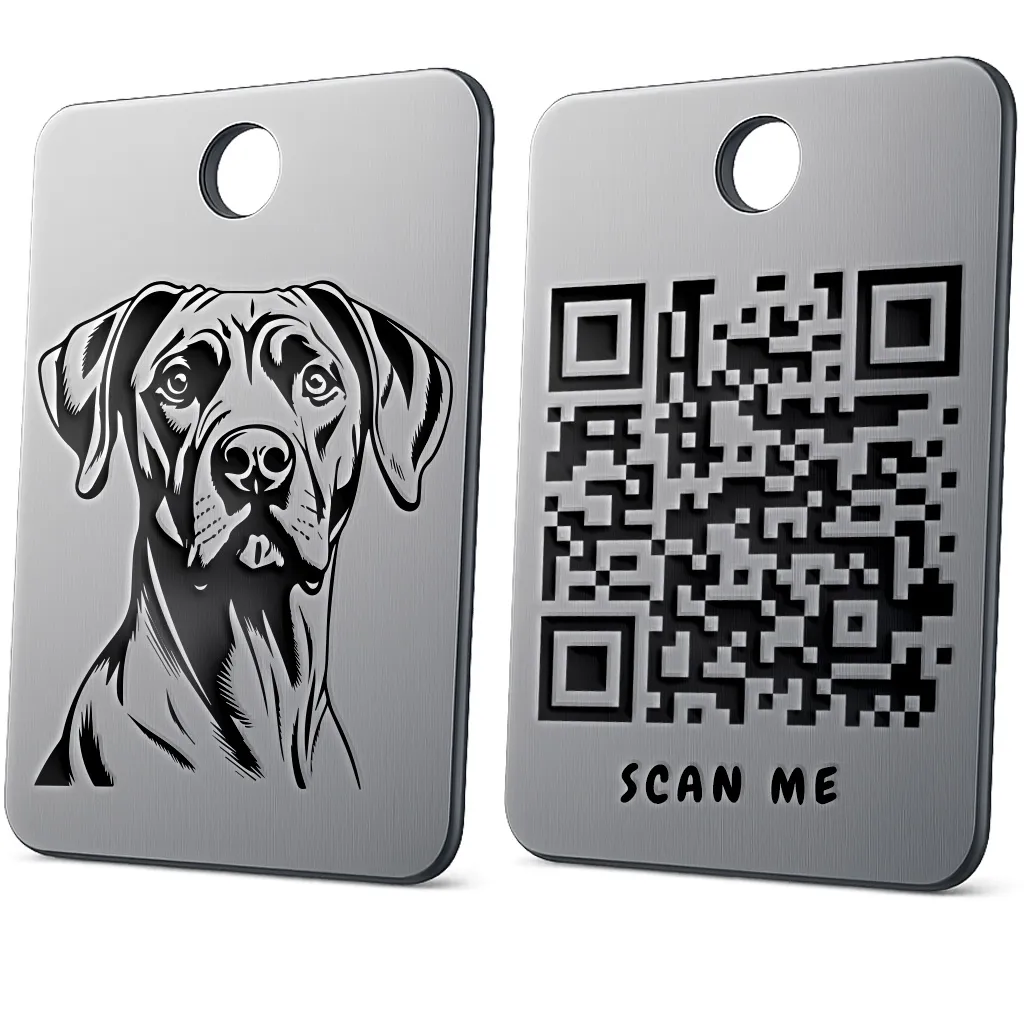 Rhodesian Ridgeback 2